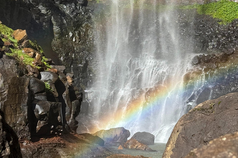 布里斯班：斯普林布鲁克七瀑布与天然桥之旅布里斯班：斯普林布鲁克七瀑布与天然石桥游览