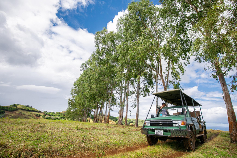 Aventura de safari en 4x4 por Mauricio con servicio de recogida