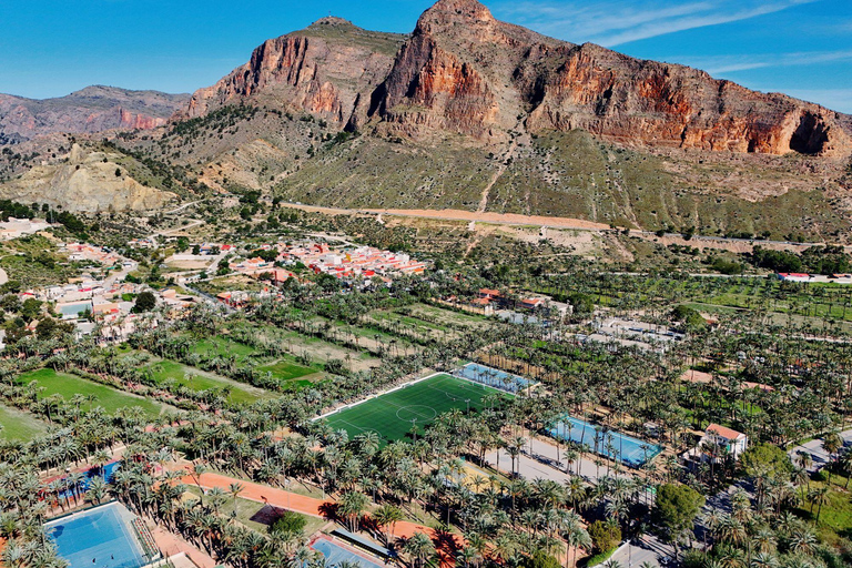 From Alicante: Elche Half-Day of Palms, History & Heritage