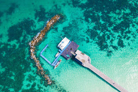 Phuket: Excursão privada de catamarã de luxo às ilhas Coral ou MaitonMeio dia de manhã - 5 horas