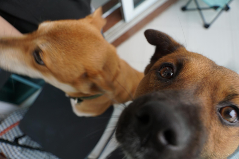 Guangzhou: 3-Day Local Experience with Host