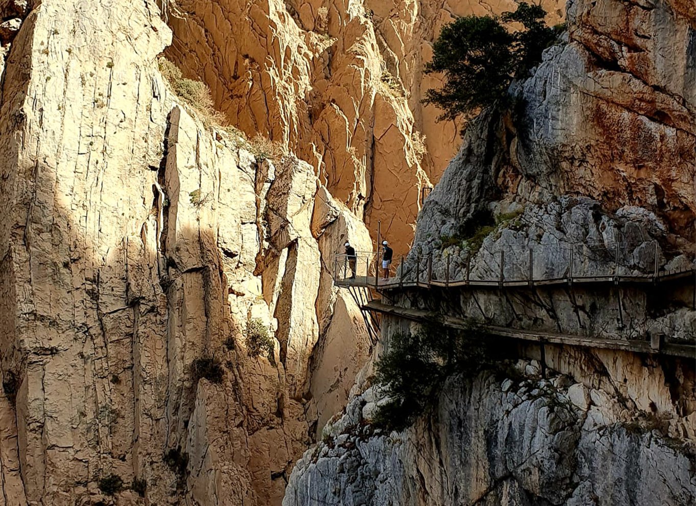 Málaga: Caminito del Rey guidet tur med transport