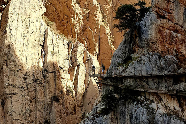 Depuis Málaga : excursion en bus au Caminito del Rey