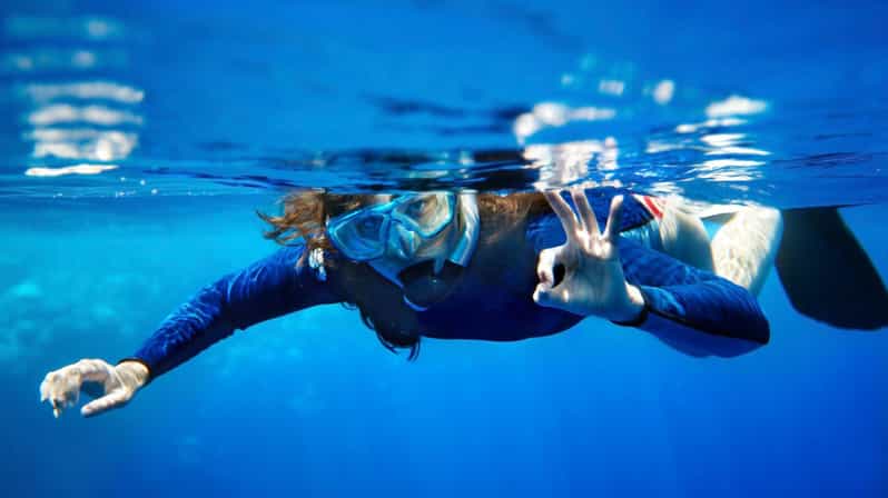 Puntaldia or San Teodoro: snorkeling to Tavolara and Molara