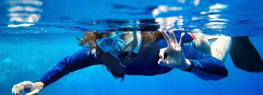 Depuis San Teodoro : plongée en apnée à Tavolara et Molara