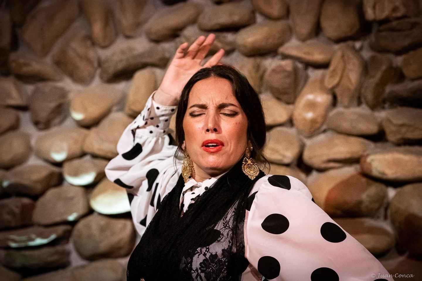 探秘马拉加：弗拉门戈秀门票