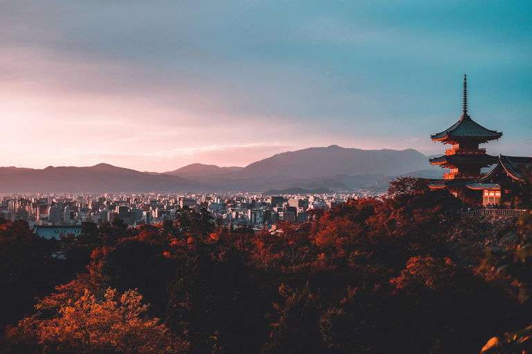 Visite privée de Kyoto, Nara et Osaka avec chauffeur anglophone