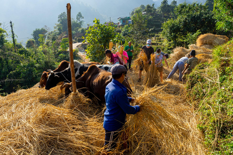 Barang Village Guided Cultural Tour With Sound Healing Bowl