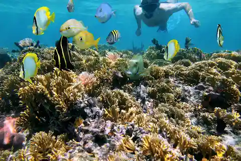 Playa Mantas: Guidad snorklingstur på morgonen nära Jaco Beach