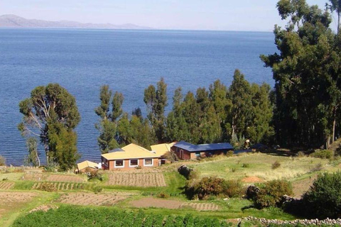 From Cusco: Overnight Bus to Puno with Lake Titicaca Tour