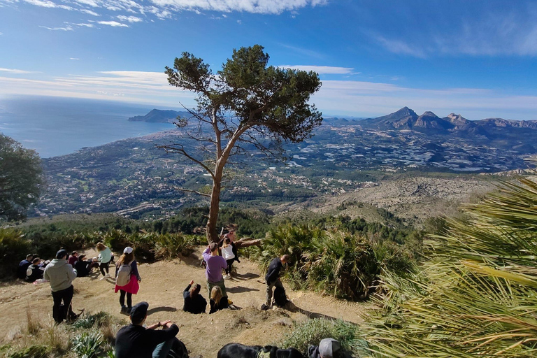 贝尔尼亚山脉环线：穿越 Forat 隧道的导览徒步提供接送服务