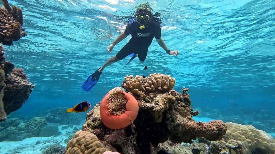 Taha’a : Bateau Privé, Snorkeling sur Récif Secret et Déjeuner Sur un motu