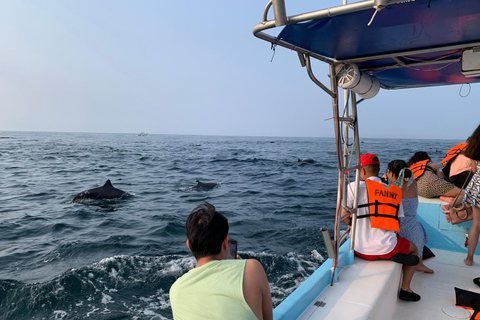 Puerto Escondido: Bootstour zu Delfinen und MeerestierenPrivate Tour