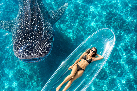 Labuan Bajo: 5-Day Komodo to Gili Trawangan Whale Shark Tour Standart Boat | Sharing Deck | No WHALE SHARK