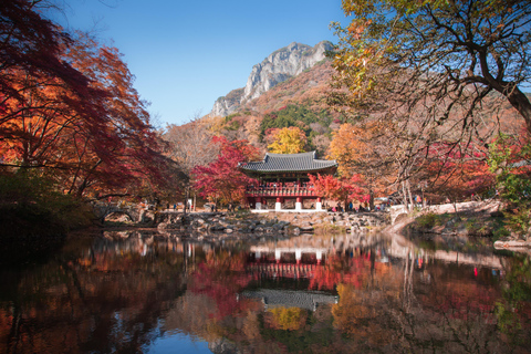Korea: Trip and Itinerary Planning - Travel Effortlessly!