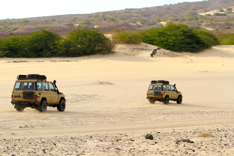 4x4 Boa Vista South Jeep Expedition 4hWyprawa Jeepem 4x4 Boa Vista South 4h