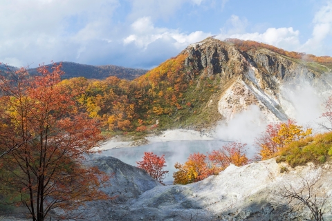 Van Sapporo: Lake Toya, Noboribetsu, privétour van 1 dag