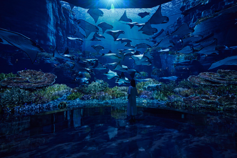 Paju: Museum HEI Immersive Media Art Exhibition Entry Ticket