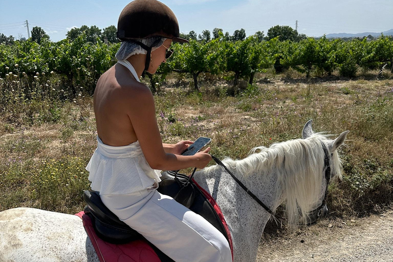 Alicante: Private Horseback Ride & Picnic with Transfer