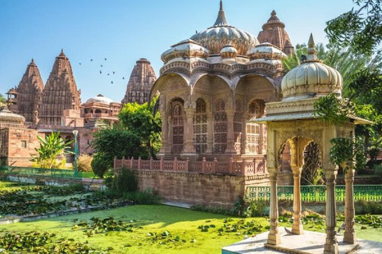 Blauwe stad edelstenen: Jodhpur Tour