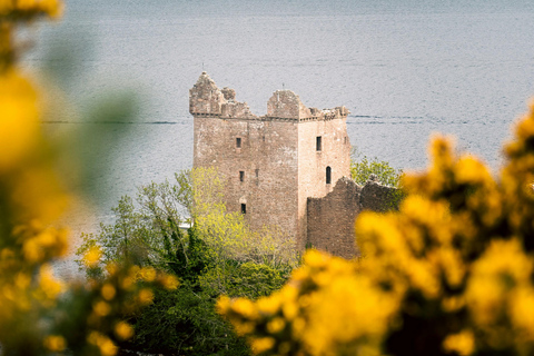 Invergordon Shore Tour: Loch Ness, Distillery and Castles