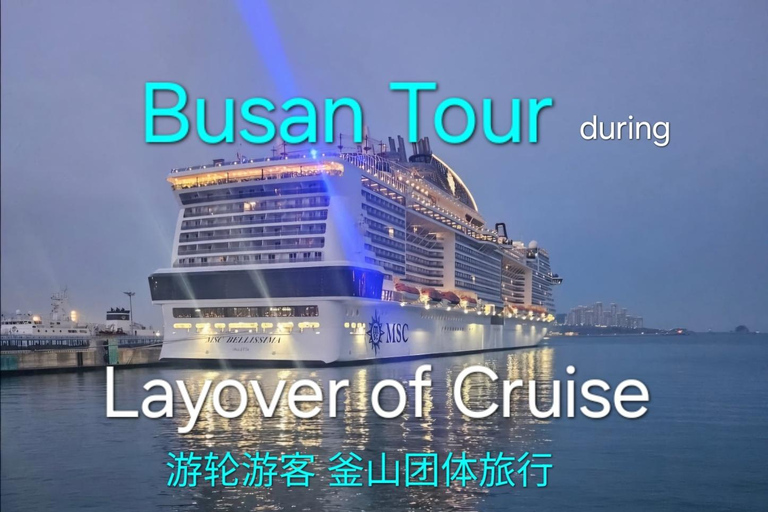 Busan: Kleingruppentour für Kreuzfahrtschiffpassagiere[kleine Gruppe] Englischsprachiger Reiseleiter