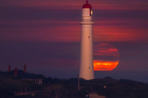 Melbourne: Twelve Apostles&Great Ocean Road,Find Koala Tour