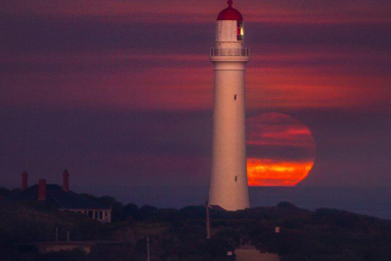 Melbourne: Twelve Apostles&Great Ocean Road,Find Koala Tour