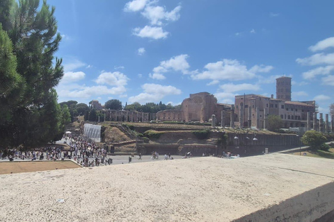 Small Group Guided Tour Colosseum Roman Forum, Palatine Hill Standard Tickets