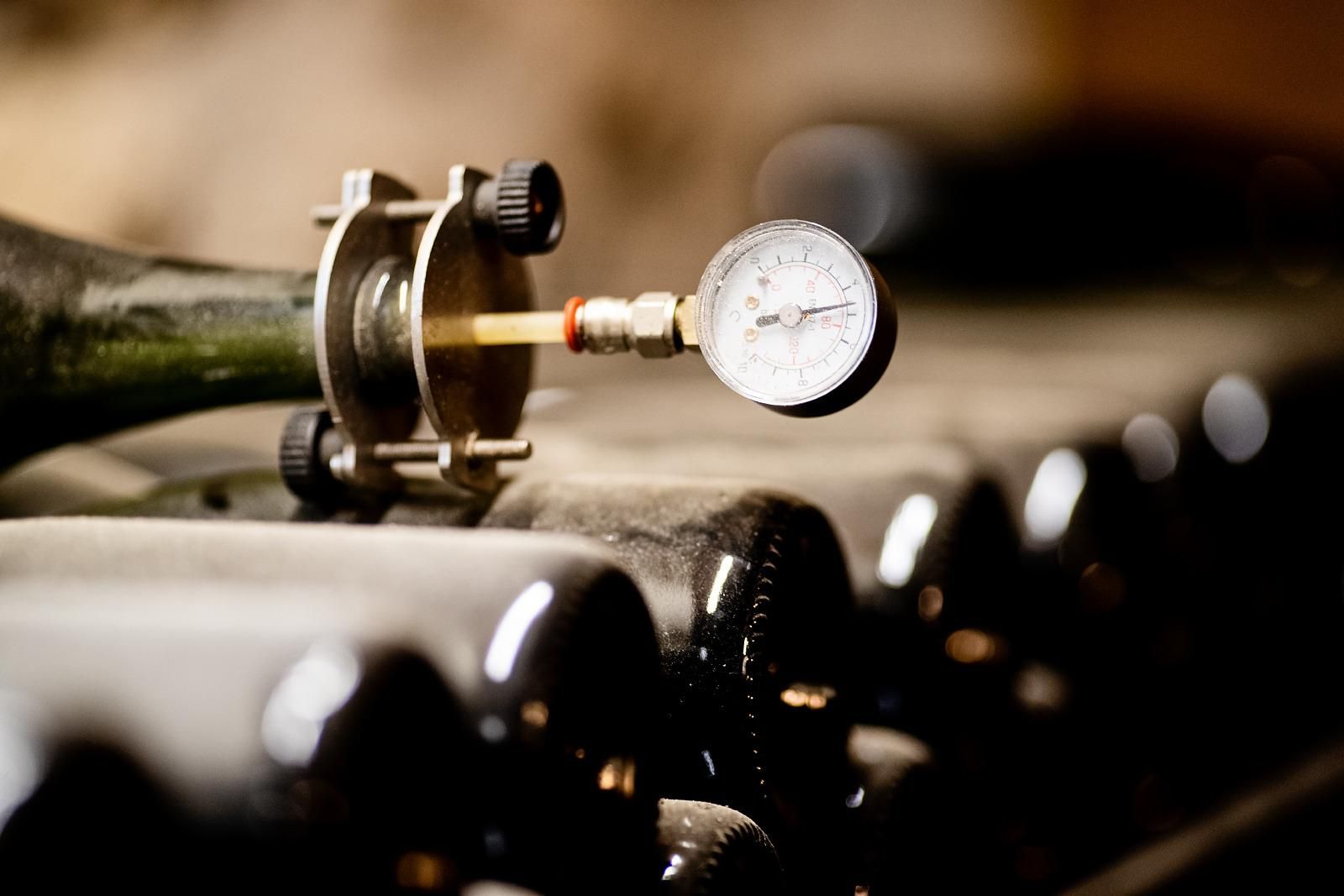 Von Rom aus: Cantina Le Macchie Weingut-Tour und Verkostung