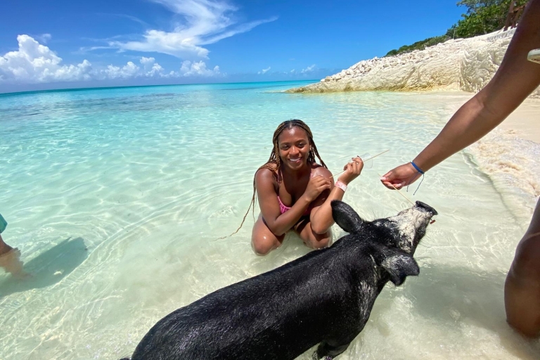 007-Matin All Inclusive Baignade avec des cochons à Rose Island007 All Inclusive - Nager avec des cochons à Rose Island