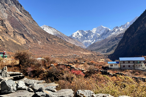 From Kathmandu: 10-Day Langtang Valley Trek