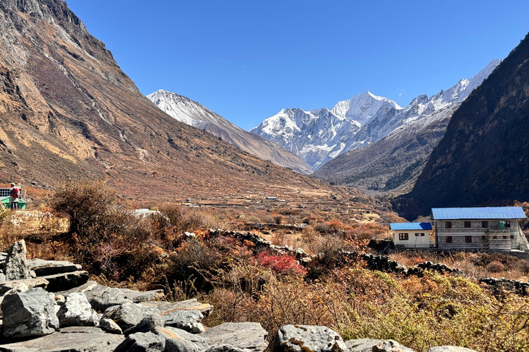 From Kathmandu: 10-Day Langtang Valley Trek