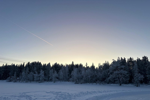 Levi: Self-Guided Lake Skating, Reindeer & Hot Drink