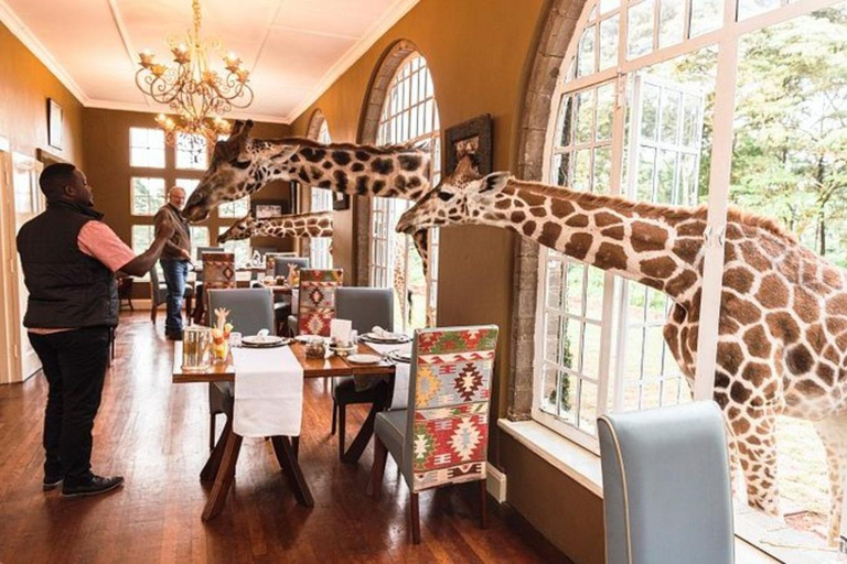 Nairobi: Tour gastronómico com o Centro das Girafas e o Elefante ...