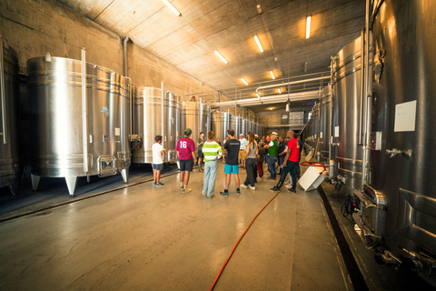 Chinon : Visitas Descubrimiento y Degustación de VinosVisite découverte en Français