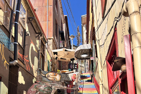 Valparaiso and Viña del Mar: Private Tour from Santiago