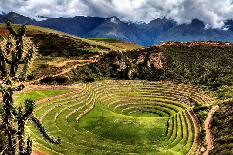 Cusco: Terraces, Salt & Andean Traditions