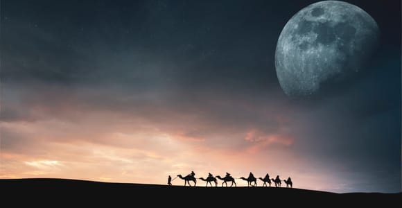 Djerba & Zarzis: Desert Bivouac, Camel Ride & Star Wars Adventure