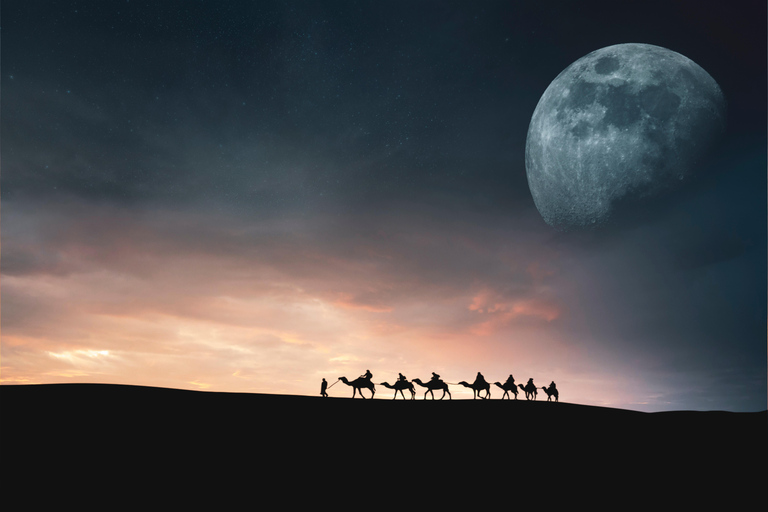 De Djerba e Zarzis : Noite selvagem no deserto