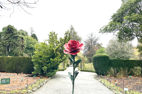 Christchurch City Top Spots Half Day Private Tour