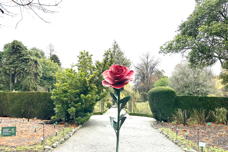 Christchurch City Top Spots Private Half Day Tour