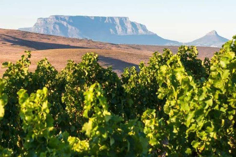 Visite privée des vignobles de Stellenbosch, Paarl et Franschhoek