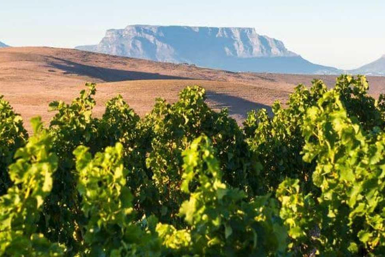 Visite privée des vignobles de Stellenbosch, Paarl et Franschhoek