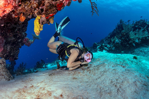 Cancún: Buceo certificado con 2 tanques: Explora Arrecifes Poco Profundos