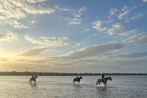 Djerba: Individual Horse Riding in the Blue Lagoon.