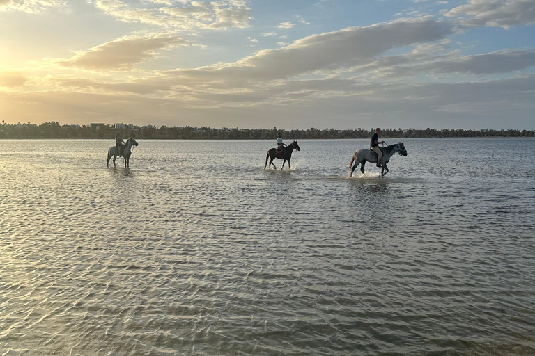 Djerba: Individual Horse Riding in the Blue Lagoon.