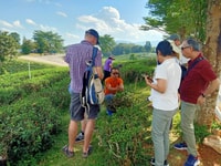 Chiang Rai, Popular Sightseeing Tour 8 lugares, almuerzo buffet - Housity