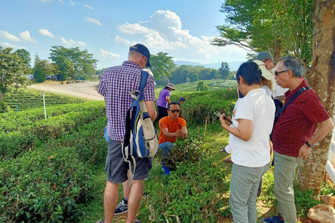 Chiang Rai: Popular Sightseeing Tour 7 places , Buffet Lunch Chiang Rai: Popular Sightseeing Tour 7 places ,Buffet Lunch