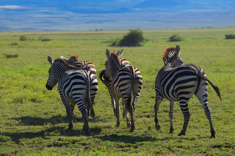 Arusha: Lake Natron Day Trip (Lake Walk &amp; Waterfall Hike)